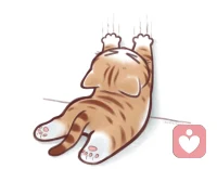 “白天迁就生活，夜晚打理灵魂，生活很累，但不能撤退”

晚安💤🌙配图