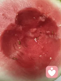 生活很苦，西瓜很甜，我很想你π_π