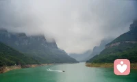 走自己的路，不慌不忙