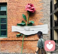 没有一朵花，一开始就是一朵花