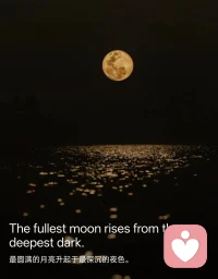 晚安💤🌙配图