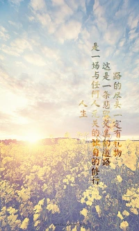 ?? 關于成長破局
蝴蝶破繭時不會責怪繭，
它知道困住自己的，曾是保護色。
（和過去的自己和解，是未來的入場券）
 
（此刻請做三件事：
???? 深呼吸三秒
? 喝一口溫水
???? 給自己一個擁抱）配圖