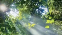 爱而不得是遗憾，得而不爱是心酸。若懂，无需千言万语，若不懂，何需万语千言。人就是这么奇怪，受了天大的委屈不吭声，听到安慰的话确却泣不成声。配图