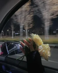 一颗好心，

比不上一张巧嘴，

鬼不会说人话，但人会说鬼话。配图