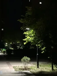 看到這種圖 你能想到什么呢？配圖