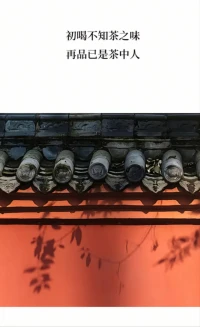 -
​这天可真任性
一天入夏，一天返冬，
昨天三生三世十里桃花
今天你是风儿我是沙[偷笑]配图