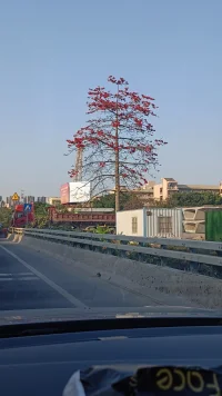 我們并無不同配圖