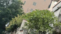 老板吆喝：黑籽紅瓤的西瓜，不甜不要錢！
我：老板，來個不甜的。
                      今日份快樂已送達，請接收配圖