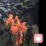 馨悦诚的头像