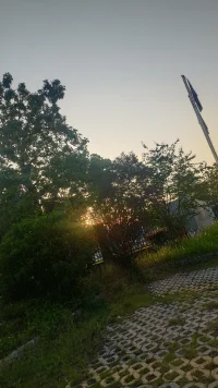 来自清晨的安宁
早安配图