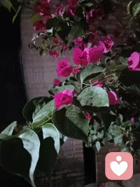 各自的人生舞台应该是：
我若安好，才是晴天☀️