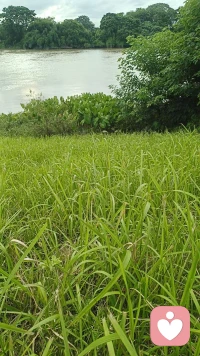 即使是一个能量型选手
也有无助和无力的候
接受它，面对它，玩s它😁配图