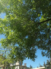 对一切心怀感恩，用享受的心态参与一切，不必急急忙忙寻求一个答案。