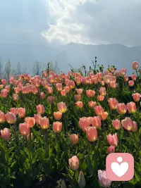 成长的本质是减少并最终打破依赖关系，成为独立自主的人。