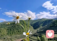 爱不是非要留下，爱有时只是承认：我们都尽力了，只是力气不在同一个方向。配图