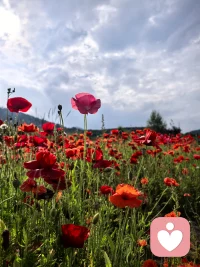 “你不是有问题的人，你只是一个曾经受过伤的人。”配图