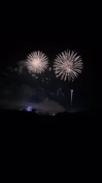 假自我的反面并非我行我素

假自我的反面其实需要具备一定的弹性，不必将外界标准奉为绝对，要给自己留出一定空间。这其中，也包含我们在意的人以及我们从他们那里接收到的期待。恰当采纳他人意见，本身就是自我认同的一部分。

我们都曾渴望成为让父母骄傲的孩子，成为受老师表扬的学生，成为被社会认可的好公民，这有什么错呢？把别人的标准内化为自己的目标，不断尝试、验证、拓展，最终明确哪些是自己真正想成为的样子，哪些标准可以摒弃，这不是非此即彼的对立，而是一个在探索中不断靠近真实自我的过程。

所以，假自我的反面是对真实“自我”始终怀有好奇心。好奇意味着在他人评判与自身个性之间探索新可能，不被贴在自己身上的任何标签所束缚，因为那些标签有可能并非真实的我们。 


～～～心理学小笔记～～～配图