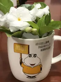 语言的魔法力量（二）

在我们日常家庭生活中，孩子学习时遇到难题其实很正常，他们有时还会急得抓耳挠腮，或者哭了起来。这时，有的家长就会不耐烦地说：“哭有什么用，不会就想办法学，哭就能解决问题吗？你可真没用。”孩子听了这样的话语，内心的挫败感会更强，甚至可能对学习产生恐惧。

然而，如果家长换一种正向的表达：“宝贝，你哭说明你在努力，你在为了解决这个难题而勇敢地面对。这是很了不起的，我们一起看看这道题，肯定能找到解决方法的。”孩子在听到这样的鼓励后，会觉得自己被认可了，从而更有信心去挑战难题。


所以，朋友们，从现在起，让我们多对自己说正向的语言，把情绪视作心灵的诗句，用积极的态度去理解和对待身边的人和事。当我们的语言充满了善意和鼓励，我们就会发现，世界也会以同样美好的姿态回馈我们。配图
