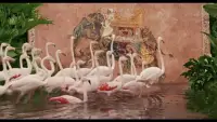 與其焦慮恐懼，不如直面它

當(dāng)你問(wèn)自己：“我最害怕的到底是什么？”你可能會(huì)發(fā)現(xiàn)，恐懼往往源于“未知”，而非現(xiàn)實(shí)。 我的朋友小英害怕公開(kāi)演講，但她發(fā)現(xiàn)，真正恐懼的其實(shí)是“被別人評(píng)判”。于是她從對(duì)著鏡子練習(xí)開(kāi)始，逐步面對(duì)這種恐懼，如今她已能從容上臺(tái)。 

所以，不要逃避“不敢想的事”，試著把它寫下來(lái)，拆解它的真實(shí)面貌。你會(huì)發(fā)現(xiàn)，很多恐懼，其實(shí)經(jīng)不起推敲。 

“未來(lái)會(huì)不會(huì)改變”不重要，重要的是“現(xiàn)在怎么做”


～～～心理學(xué)小筆記～～～配圖