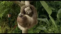與其焦慮恐懼，不如直面它

當(dāng)你問(wèn)自己：“我最害怕的到底是什么？”你可能會(huì)發(fā)現(xiàn)，恐懼往往源于“未知”，而非現(xiàn)實(shí)。 我的朋友小英害怕公開(kāi)演講，但她發(fā)現(xiàn)，真正恐懼的其實(shí)是“被別人評(píng)判”。于是她從對(duì)著鏡子練習(xí)開(kāi)始，逐步面對(duì)這種恐懼，如今她已能從容上臺(tái)。 

所以，不要逃避“不敢想的事”，試著把它寫下來(lái)，拆解它的真實(shí)面貌。你會(huì)發(fā)現(xiàn)，很多恐懼，其實(shí)經(jīng)不起推敲。 

“未來(lái)會(huì)不會(huì)改變”不重要，重要的是“現(xiàn)在怎么做”


～～～心理學(xué)小筆記～～～配圖