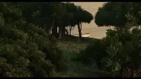 改變不是一夜之間發生的，而是從你此刻的選擇開始。 

如果你感到困惑，那是正常的，幾乎每個人都經歷過這種狀態，不妨給自己一個實驗期：如果我暫時不管恐懼，先邁出一小步，會發生什么？

比如，我的鄰居小梅想辭職做自媒體，可是又擔心沒人看。于是她決定先錄一個視頻試一試，結果意外收獲了一千多點贊——這給了她繼續做下去的信心。 

恐懼不是你的敵人，猶豫不決才是。

與其過度擔憂“如果恐懼發生怎么辦”，不如先關注“我現在想不想做這件事”。

未來的路也許充滿變數，但你可以把握的是今天、是現在，對么？多欣賞自己現在的樣子，你會發現自己比想象中更有力量。 

行動小思考： 

如果此刻你有一件特別想做卻害怕的事，試著問自己：“最壞的結果會怎樣？”如果自己能承受，為什么不試一試呢？

～～～心理學小筆記～～～配圖