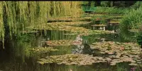 什么是無(wú)條件的愛(ài)？

前天和友珍的孩子晚飯后散步，深入聊天3小時(shí)。談到某些中年父母、親朋好友對(duì)家庭、婚姻、工作的傳統(tǒng)觀念和執(zhí)念等問(wèn)題。他們帶著強(qiáng)烈的主觀加必須思維，必須結(jié)婚、必須考公考編、必須會(huì)做家務(wù)、會(huì)做飯菜等。這是真的為孩子好么？是孩子真正需要的幸福么？

時(shí)代飛速發(fā)展，我們的傳統(tǒng)觀念和美德里有很多好東西，確實(shí)值得傳承，值得繼續(xù)發(fā)揚(yáng)，比如非物質(zhì)文化遺產(chǎn)、古典建筑、原生態(tài)山水或傳統(tǒng)美食等等。至于婚姻愛(ài)情，結(jié)婚生子等個(gè)人問(wèn)題，應(yīng)該以個(gè)人的幸福感、安全感以及一定的經(jīng)濟(jì)為基礎(chǔ)，對(duì)么？而不是說(shuō)年齡到了、年齡大了就必須結(jié)婚，否則嫁不出去、取不回來(lái)、孤獨(dú)終老的各種催婚、逼婚，背后指指點(diǎn)點(diǎn)，當(dāng)負(fù)面典型來(lái)說(shuō)三道四。

一些父母口口聲聲說(shuō)為兒女操心一輩子，掏心掏肺出錢(qián)出力地愛(ài)他們，就是希望他們?cè)琰c(diǎn)成家立業(yè)，父母?jìng)兡茉琰c(diǎn)抱上孫子。對(duì)，這確實(shí)是父母?jìng)儭皞ゴ蟮膼?ài)”。但這是真正無(wú)條件的愛(ài)子女嗎？

在這一點(diǎn)上，我偏向于多傾聽(tīng)孩子的心聲，多和孩子聊天探討，了解孩子真正的需求，尊重孩子自己的選擇。孩子能先把一個(gè)人的生活過(guò)好，選擇自己喜歡的職業(yè)，追求自己的夢(mèng)想和目標(biāo)，讓生活和工作帶來(lái)的意義感充實(shí)自己，豐富自己，去體驗(yàn)、去感受、去嘗試更多的可能，去開(kāi)拓自己的視野，見(jiàn)更大的世界......

遇到合適的喜歡的對(duì)象就談，談到兩個(gè)人都有意愿，并希望走進(jìn)神圣的婚姻殿堂，愿意承擔(dān)婚姻的責(zé)任和義務(wù)，那當(dāng)然的好事。如果沒(méi)有合適的就別輕易走進(jìn)婚姻，過(guò)那種委屈求全的日子。配圖