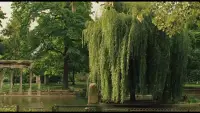 再婚家庭情感突破的實用方法

首先，需要彼此坦誠，不把過去的創傷帶進新的關系。

設立“情感安全區”，意思是每個家庭成員都可以自由表達自己的感受和想法，不會受到成員之間的評判、猜疑或指責，做到真正的“無條件接納”。定期進行“心靈對話”，包括深入地討論彼此的期望、擔憂和過去的經歷，這有助于增進彼此更深入地了解對方的真實想法和感受。制定家庭需要實現的“共同目標”，有利于增強家庭成員之間的團結和凝聚力。

其次，用利他思維，讓再婚家庭重獲新生。

家庭成員之間需要學習站在對方的角度“換位思考”，學著體會對方的感受。用“積極反饋”的機制，對家庭成員做出的努力多給予肯定和鼓勵，這能營造家庭成員之間有溫度的互動，還能促進加深彼此的感情。

最后，彼此合作共贏，讓再婚家庭回歸幸福。

為了確保每個家庭成員的利益都得到保障，對于重要的事情采取“聯合決策”的方式大家一起討論決定。如果彼此能“共同參與”學習和成長，會更利于增進彼此的理解、尊重和關系的融洽。

～～～親密關系心理學小筆記～～～配圖