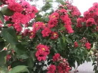世界是一面镜子，照射着我们的内心，我们内心是什么样子，这个世界就是什么样子。

选择抱怨，我们内心就充满痛苦、黑暗和绝望；选择感恩，我们的世界就充满着阳光、希望和爱。

～～～读书小笔记～～～