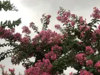 为何爱会伤人

说实话，亲密关系或婚姻关系可能是我们一生中重要的关系。很多人以为：亲密关系的维系，只要有爱就够了，真是这样吗？可是随着彼此相处时间的增加，却能听到很多同样的抱怨：“为何当初口口声声说最爱我的人，却伤我最深”。究其原因，可能和双方的界限意识有着重要关系。

下面，我们来了解一下亲密关系的三条重要界限意识：

界限一：遵守合约精神

在令人羡慕的婚姻里，往往都有一对优秀的合伙人。相信读者朋友们对这句话并不陌生，对么？我们都知道亲密关系中的两个人，大部分都有不同的成长环境和家庭背景。这些不同，我们在婚前已经知道，也愿意彼此接受。那么在婚后，我们也必须继续真诚地接纳彼此间存在的不同，在求同存异中愉快相处。

伴侣双方就像一个公司的两个合伙人，也像同一个战壕里的战友，是友好的合作关系。我们各自都需要履行好自己的职责，才能长久地并肩面对生活的酸甜苦辣。

界限二：清晰身份定位

当面对双方需要处理各自原生家庭（包括父母、兄弟姐妹以及其他亲人）的问题时，我们不带着批判、偏见和指责去破坏关系，只是把界限标示出来帮助对方觉察，让身处其中的人看得更清楚一些就可以了。这里提倡的原则就是：核心矛盾由身处矛盾的人自己去处理。

界限三：学会控制情绪

成熟的标志之一是拥有稳定的情绪。但在很多的亲密关系中，情绪没有边界。很多不会控制情绪的人，通常对着身边最亲近，最在乎自己的爱人爆发。

爱自己是一切的开始。先爱自己才能内心丰盈且情绪稳定。

人人都渴望被关心和关注。我们在表达自己情绪的同时，也要做好倾听的准备。如果伴侣愿意多说些什么，我们首先只需要耐心的倾听，倾听而不评判。然后，中立地表达，舒缓对方的情绪即可，不火上浇油进一步激发情绪。尽量多给对方带来关心、温暖，而不是过分关注或干涉，这样伴侣之间长期相处才会更舒服。

建立恰当的边界，实际上是伴侣间能长期和睦相处的根本。我们的爱要有度，不能过于浓烈，也不能太过任性，不然对方一定会心生倦怠。

一个时常让人感到快乐的伴侣，将积极的情绪传递给对方时，会更容易收获积极情绪的正向回馈。在有界限意识的良性互动中，伴侣间的关系也会越来越融洽。

~~~亲密关系心理学小笔记~~~