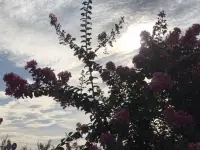 为何爱会伤人

说实话，亲密关系或婚姻关系可能是我们一生中重要的关系。很多人以为：亲密关系的维系，只要有爱就够了，真是这样吗？可是随着彼此相处时间的增加，却能听到很多同样的抱怨：“为何当初口口声声说最爱我的人，却伤我最深”。究其原因，可能和双方的界限意识有着重要关系。

下面，我们来了解一下亲密关系的三条重要界限意识：

界限一：遵守合约精神

在令人羡慕的婚姻里，往往都有一对优秀的合伙人。相信读者朋友们对这句话并不陌生，对么？我们都知道亲密关系中的两个人，大部分都有不同的成长环境和家庭背景。这些不同，我们在婚前已经知道，也愿意彼此接受。那么在婚后，我们也必须继续真诚地接纳彼此间存在的不同，在求同存异中愉快相处。

伴侣双方就像一个公司的两个合伙人，也像同一个战壕里的战友，是友好的合作关系。我们各自都需要履行好自己的职责，才能长久地并肩面对生活的酸甜苦辣。

界限二：清晰身份定位

当面对双方需要处理各自原生家庭（包括父母、兄弟姐妹以及其他亲人）的问题时，我们不带着批判、偏见和指责去破坏关系，只是把界限标示出来帮助对方觉察，让身处其中的人看得更清楚一些就可以了。这里提倡的原则就是：核心矛盾由身处矛盾的人自己去处理。

界限三：学会控制情绪

成熟的标志之一是拥有稳定的情绪。但在很多的亲密关系中，情绪没有边界。很多不会控制情绪的人，通常对着身边最亲近，最在乎自己的爱人爆发。

爱自己是一切的开始。先爱自己才能内心丰盈且情绪稳定。

人人都渴望被关心和关注。我们在表达自己情绪的同时，也要做好倾听的准备。如果伴侣愿意多说些什么，我们首先只需要耐心的倾听，倾听而不评判。然后，中立地表达，舒缓对方的情绪即可，不火上浇油进一步激发情绪。尽量多给对方带来关心、温暖，而不是过分关注或干涉，这样伴侣之间长期相处才会更舒服。

建立恰当的边界，实际上是伴侣间能长期和睦相处的根本。我们的爱要有度，不能过于浓烈，也不能太过任性，不然对方一定会心生倦怠。

一个时常让人感到快乐的伴侣，将积极的情绪传递给对方时，会更容易收获积极情绪的正向回馈。在有界限意识的良性互动中，伴侣间的关系也会越来越融洽。

~~~亲密关系心理学小笔记~~~