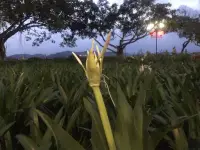 一個人和自己相處得越好，快樂指數越高，情緒也會更加穩定，因為你的開心是在自己這里，而不是在他人身上，這種開心是完全由自己說了算的。

《無用之美》一林曦配圖