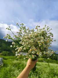 每一位女性都有權(quán)利根據(jù)自身情況，做出最適合自己的生活選擇。無論是選擇成為母親還是保持單身，都是值得尊重的人生道路。

不必去刻意迎合大多數(shù)人的“標(biāo)準(zhǔn)”，也不必刻意去符合完美人生的“框架”，去學(xué)會自我接納，去完善自我的內(nèi)核，去探索獨屬于自己人生的更多可能.....

~~~讀書小筆記~~~配圖