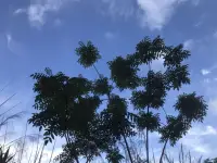 為什么狹隘的思維認(rèn)知會(huì)導(dǎo)致婚姻失控？

今天，我們來(lái)了解一下什么是婚姻中的狹隘思維認(rèn)知。不管是否處在婚姻中，都希望您能有所收獲或啟發(fā)。

首先，狹隘的思維認(rèn)知可能導(dǎo)致婚姻出現(xiàn)空箱狀態(tài)。在這種狀態(tài)下，有些人可能會(huì)為了家庭、為了愛(ài)情而不斷付出，但卻忽視了自我關(guān)愛(ài)和成長(zhǎng)。這樣的狀態(tài)讓他們感到自己孤獨(dú)和無(wú)助，像一個(gè)被掏空的箱子，只有空洞和虛無(wú)，這也會(huì)慢慢磨滅掉我們對(duì)生活的熱愛(ài)和激情。

其次，狹隘的思維認(rèn)知還可能導(dǎo)致婚姻出現(xiàn)噬心狀態(tài)。當(dāng)人們的思維受到局限時(shí)，他們可能會(huì)對(duì)伴侶的行為和態(tài)度產(chǎn)生誤解和偏見(jiàn)。這些誤解和偏見(jiàn)可能會(huì)讓他們陷入痛苦和絕望之中，無(wú)法自拔。他們可能會(huì)感到被背叛、被拋棄、被傷害，甚至產(chǎn)生絕望的念頭。這樣的狀態(tài)很可能對(duì)他們的身心健康造成極大的傷害，也會(huì)失去對(duì)婚姻的信心和期望。

最后，狹隘的思維認(rèn)知還可能導(dǎo)致婚姻出現(xiàn)守望狀態(tài)。很多人可能會(huì)默默承受著痛苦和不幸，卻不敢或不愿改變現(xiàn)狀。她們可能會(huì)覺(jué)得自己已經(jīng)付出了太多，無(wú)法再承受更多的痛苦和失望。然而，這樣的狀態(tài)只會(huì)讓人更加痛苦和無(wú)助，無(wú)法找到出路和希望。

~~~親密關(guān)系心理學(xué)小筆記~~~配圖