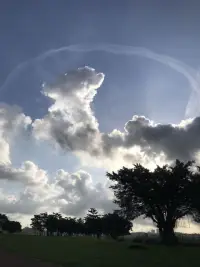 如何打破婚姻中的局限思維并走出狹隘認知呢？


拓寬視野，擁抱多元思維

首先，我們需要認識到自己的思維認知可能存在問題；我們還需要反思自己的行為和決策，找出其中的不足和錯誤。

在婚姻中，狹隘的思維認知主要來源于，我們對現實世界的片面理解和有限的經驗。為了打破這種局限，我們需要主動拓寬自己的視野，擁抱多元思維。學會從對方的角度思考問題，珍惜和欣賞彼此的差異，理解并尊重對方的觀點和經歷。


反思自我，勇于承認錯誤

其次，我們需要積極學習和成長，拓展自己的思維和視野。我們可以通過閱讀、旅行、交流、傾聽不同的聲音等方式，來豐富自己的知識和經驗，讓自己變得更加開放和包容。

狹隘的思維認知還有一個重點是以自我為中心。我們容易將自己的觀點視為唯一正確，很多時候過于敏感和多疑，容易忽視或否定伴侶的看法。為了走出這種思維困境，我們需要學會反思自我，勇于承認自己的錯誤和偏見。還需要坦誠地交流彼此的感受和想法，并努力改正。當然，這并不是要我們完全否定自己，而是以一種開放和包容的心態，去面對自己的不足。


共同學習，共同成長

最后，我們需要勇敢地面對問題和挑戰，積極尋求解決方案和出路。我們可以尋求專業的幫助和支持，如心理咨詢、婚姻輔導等，來幫助我們走出困境，重新找回幸福和親密的力量。

婚姻是兩個人共同走過的人生旅程，在這個過程中雙方都需要不斷學習和成長，才能適應彼此的變化和生活的挑戰。只有認識到自己的思維認知可能存在問題，我們才能積極尋求解決方案和出路，讓婚姻變得更加美好和幸福。

楊絳先生說：“婚姻中最重要的不是找到一個完美的人，而是學會如何與一個有缺點的人共同建立一個完美的關系。”這句話告訴我們，婚姻并不是尋找完美的過程，而是學會接納和包容的過程。

~~~親密關系心理學小筆記~~~配圖