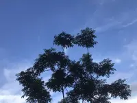 化解猜疑，重塑亲密关系之间的信任

在亲密关系中，我们常常会因为日常琐碎的鸡毛蒜皮，对伴侣产生怀疑。请问有办法化解么？

我们来看看下面这3个方法，也许会对您有帮助。

1.冷静地思考

当猜疑来袭时，首先要做的就是冷静下来，避免情绪化的反应。不要让情绪控制你的思维，而是要用理性去分析问题的真相。试着去理解伴侣的行为和动机，而不是一味地猜测和怀疑。通过冷静地思考和沟通，不仅能化解彼此潜在的猜疑和误会，还能增进彼此的理解和信任，让彼此的感情更加稳定。

2.推心置腹地沟通

沟通是化解猜疑的关键。推心置腹地沟通，就是与伴侣坦诚地交流你的感受和担忧，听取对方的解释和回应。通过沟通，你们可以更好地理解彼此的想法和需求，从而建立更加坚实的信任基础。夫妻或伴侣之间通过推心置腹的沟通，不仅能化解误会，还更加深刻地理解了彼此的想法和感受。

3. 给予彼此自由的空间

信任是相互的，也是需要时间的。不要急于求成，给彼此一些时间和空间去成长和改变。相信对方的能力和品质，给予对方足够的信任和支持。尊重与信任并存，双方需要慢慢学会分享自己的感受和收获，让彼此感情升温关系变得更和谐。

总之，信任是一种选择，也是一种能力。当我们选择信任伴侣时，我们就已经迈出了最重要的一步。而当我们学会用理解和支持去建立信任时，我们的亲密关系也将变得更加美好和稳固。

~~~亲密关系心理学笔记~~~