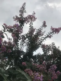 七月你好，下半年你好。往事不回头，往后不将就；放下前半年重新再出发。

如果上半年有遗憾，那是下半年翻盘的跳板。优雅地告别，勇敢地迎接；可以不舍地回望，但选择砥砺向前。

伊坂幸太郎说：“你知道人类最大的武器是什么吗?是豁出去的决心。”

～～～学习小笔记～～～