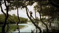 安全感的本質(zhì)是什么？

如果我們?cè)谝欢斡H密關(guān)系中缺乏安全感，很可能主要原因并不是伴侶給予得不夠多，或者伴侶沒(méi)有洞察到我們的需求，而是反映了我們內(nèi)在的焦慮與恐懼。

再進(jìn)一步來(lái)分析，這些焦慮與恐懼其實(shí)是我們童年時(shí)代情感創(chuàng)傷的體現(xiàn)：那些無(wú)法與父母形成健康依戀關(guān)系的人，或者沒(méi)有得到父母關(guān)愛(ài)認(rèn)可的人，他們?cè)诔赡旰笠埠茈y與伴侶形成一段正常，充滿安全感的親密關(guān)系。

如果要想在親密關(guān)系中重獲安全感，我們首先要在專業(yè)心理情感咨詢師的引導(dǎo)下，開(kāi)展自我療愈，核心就是重建我們認(rèn)知中的自我價(jià)值感，以及對(duì)伴侶的接納和信賴。

佚名的這句詩(shī)道出了安全感的本質(zhì)：“一只站在樹(shù)上的鳥(niǎo)，從不會(huì)害怕樹(shù)枝斷裂，因?yàn)樗嘈诺牟皇菢?shù)枝，而是自己擁有的翅膀。”

～～～學(xué)習(xí)小筆記～～～配圖