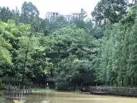 面對負面情緒，不要逃避它，而是去看見它，去擁抱它，去理解它，去追求它給你指出的方向。


比起去控制，去逃避，去壓抑，我們要做的，是學會和自己的情緒和平共處，是懂得正確面對自己的負面情緒，不要被它們裹挾，也不要被它們控制。

負面情緒就像心中的烏云，我們不如看著它慢慢地飄過心空。

這種對情緒的接納不是放任自己沉湎，而是騰出心理空間，讓更高層次的智慧發揮作用。

～～～學習小筆記～～～配圖
