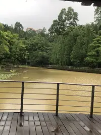 面對負面情緒，不要逃避它，而是去看見它，去擁抱它，去理解它，去追求它給你指出的方向。


比起去控制，去逃避，去壓抑，我們要做的，是學會和自己的情緒和平共處，是懂得正確面對自己的負面情緒，不要被它們裹挾，也不要被它們控制。

負面情緒就像心中的烏云，我們不如看著它慢慢地飄過心空。

這種對情緒的接納不是放任自己沉湎，而是騰出心理空間，讓更高層次的智慧發揮作用。

～～～學習小筆記～～～配圖