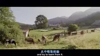 痛苦關系的本質是什么？

我們也許曾經有過在恐懼的黑暗痛苦中掙扎，想要尋求消除痛苦的方法，其實很多時候我們最終想要確認的，只是希望被好好地對待、被信任、被理解和被肯定而已。

加繆說：“沒有生活的絕望就沒有生活的愛。”那些無法逃避痛苦的人，也是最有勇氣嘗試解決痛苦的人。

我們在關系中都曾因不被理解而受傷，但我們需要在友好的關系中你來我往。我們不放棄表達受傷時的感受，也在激烈爭吵和解之后對彼此感到心疼。盡管我們不知道是什么讓彼此進入無謂的戰斗，但在撕扯中除了對抗，我們也都能看到彼此的那份對表達和理解的渴望。

關系里有人類不想放棄的勇氣，我們需要彼此的存在、彼此的勇氣、彼此的期待。

~~~《共情式對話》學習小筆記~~~配圖