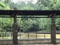 痛苦關系的本質是什么？

我們也許曾經有過在恐懼的黑暗痛苦中掙扎，想要尋求消除痛苦的方法，其實很多時候我們最終想要確認的，只是希望被好好地對待、被信任、被理解和被肯定而已。

加繆說：“沒有生活的絕望就沒有生活的愛。”那些無法逃避痛苦的人，也是最有勇氣嘗試解決痛苦的人。

我們在關系中都曾因不被理解而受傷，但我們需要在友好的關系中你來我往。我們不放棄表達受傷時的感受，也在激烈爭吵和解之后對彼此感到心疼。盡管我們不知道是什么讓彼此進入無謂的戰斗，但在撕扯中除了對抗，我們也都能看到彼此的那份對表達和理解的渴望。

關系里有人類不想放棄的勇氣，我們需要彼此的存在、彼此的勇氣、彼此的期待。

~~~《共情式對話》學習小筆記~~~配圖