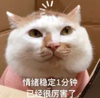 情緒不是敵人：3個急救術+1個底層邏輯，教你與情緒和平共處

周五晚上10點，你剛加完班發現地鐵坐反了方向；??
閨蜜突然發來我們聊聊卻欲言又止；??
孩子打翻奶茶弄臟剛曬的被子...…
這些時刻，情緒像突然造訪的老朋友，嘮叨著把平靜的生活攪得一團糟。

情緒不是需要消滅的敵人，而是進化賦予我們的生存雷達：??
它是情感的另一面（沒有情緒=沒有愛恨）??
它是未被回應的能量體（內耗的根源）??
它是需要被看見的老朋友（嘮叨直到被回應）??

情緒急救三步法】
當情緒即將爆發時，試試這些社交炸彈拆除術：??
1???數字干擾法
倒著數數（54321→12345交替）、跳著數（13579→246810），打斷情緒腦的自動化反應。??

2???自由書寫術
準備專用本子，用我此刻感到...因為...句式連續書寫5分鐘，把情緒從胸口移到紙面。

3???情緒零食法
隨身攜帶能快速安撫身心的物品：黑巧克力（觸發血清素）、薄荷糖（刺激三叉神經）、壓力球（釋放肢體張力）。

長期情緒管理：ABC理論實踐?
心理學家埃利斯的情緒ABC模型揭示：??
觸發事件(A)?→?信念(B)?→?情緒結果(C)??
→?真正決定情緒的是我們頭腦中的自動思維??。我們常常以為是某個事件引發了情緒，其實是自己對事情的看法引發了情緒。

當情緒來襲時，問自己三個問題：??
①?這個想法有客觀證據嗎？??
②?最壞的結果真的會發生嗎？??
③?如果朋友遇到這事，我會怎么勸TA？??

管理情緒的本質，是在重建自己的心理免疫系統。那些曾讓我們崩潰的瞬間，終將成為內心的鎧甲。從今天開始，把每次情緒波動當作升級認知系統的機會。畢竟，能馴服自己情緒的人，才有力量馴服生活。

你最近一次成功化解情緒的經歷是什么？歡迎評論區分享你的故事。配圖