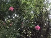 如果家長能摘下“父母的眼鏡”，承認(rèn)孩子不是我們想象中的模樣，而是有獨(dú)立思想和感受的人時(shí)，父母才能看見真實(shí)的孩子。

育兒不僅是孩子的成長過程，也是父母的成長過程。

心理學(xué)家卡爾·羅杰斯曾說：“當(dāng)一個(gè)人被真正傾聽和理解時(shí)，他才會(huì)開始改變。”

能被真正的看見和理解，這也許是孩子收到的，最好的成長禮物。


～～～學(xué)習(xí)小筆記～～～配圖