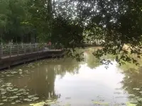如果家長能摘下“父母的眼鏡”，承認(rèn)孩子不是我們想象中的模樣，而是有獨(dú)立思想和感受的人時(shí)，父母才能看見真實(shí)的孩子。

育兒不僅是孩子的成長過程，也是父母的成長過程。

心理學(xué)家卡爾·羅杰斯曾說：“當(dāng)一個(gè)人被真正傾聽和理解時(shí)，他才會(huì)開始改變?！?
能被真正的看見和理解，這也許是孩子收到的，最好的成長禮物。


～～～學(xué)習(xí)小筆記～～～配圖