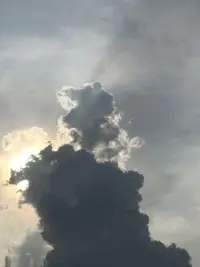 愛是一種藝術(shù)，愛不斷需要知識和努力，愛也是一種需要學習的能力。

愛是一種行動，愛主要是“給予”，給予是在真正地創(chuàng)造關(guān)系。同時給予也意味著獲得，雙方都產(chǎn)生了收獲和快樂。

愛的四個重點要素：關(guān)心、責任、尊重和了解。這四個要素需要彼此相互依存，交匯融合在一起，才能創(chuàng)造性地發(fā)展自己愛的能力，才能讓愛的基礎更牢固。

愛的實踐：它包括如何實現(xiàn)愛的規(guī)范，給予對方專心、耐心和最大關(guān)注。這些都需要我們?nèi)ド眢w力行地學習。愛是通過自身獲得的個人體驗，只有自己去實踐才能獲得愛的體驗。

《愛的藝術(shù)》并不是“說教”，而是每個人身上最實際的需要。這種需要很多時候被現(xiàn)實生活掩蓋了，但愛一直都存在著。希望我們都能學到愛的真諦，具備愛的能力，把握愛的分寸。認真對待自己和自己的愛人，共同維護愛的天平不傾斜，體驗到更多愛和幸福的藝術(shù)。

弗洛姆～《愛的藝術(shù)》～學習筆記

咱們來欣賞弗洛姆關(guān)于愛的經(jīng)典名言：

愛本質(zhì)上是給予而非獲取。

給予意味著富足，不是擁有多的人，而是給予多的人才富足。

愛，不是一種無需花費精力的享受，愛是一門藝術(shù)，它需要知識和努力。

愛是對所愛對象的生命和生長的積極關(guān)心。如果缺乏這種積極的關(guān)心，就沒有愛。

母愛的真正體現(xiàn)似乎并不在于母親對出生嬰兒的愛，而是在于以后成長中對孩子的愛。

一切有能力愛別人的人必定也愛自己。原則上愛自己和愛別人是不可分的。

我一向相信，真正的愛情可以在對方身上喚起某種有生命力的東西，而雙方都會因喚醒了內(nèi)心的某種生命力而布滿開心。配圖