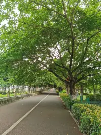 ——時間會改變最糟糕的階段

在當今時代，我們面臨著太多的未知和不確定因素。這種不確定的未知帶來的變化和改變，會讓我們感到迷茫和焦慮，因為害怕未知是人的本能。

現在我們轉換到心理學角度，來了解改變和變化的關系。其實，改變和變化并不矛盾，它們之間有一個關鍵協調的變量，叫作時間。

時間是最偉大的魔法師，也是最無情的劊子手。

那時間帶來的改變是什么呢？

理解改變的必然發生，有助于減少我們對個人的否定。

雖然我們都知道：沒有什么東西真的會一成不變。但當我們陷入困境的時候，就會更多的把困難怪到個人頭上。心里想著會不會是因為“我這個人”或者“他那個人”不行，才會遇到這么多問題？

其實，人生就是有所謂“最糟糕的階段”。也許是高考，也許是踏入職場的時候，也許是孩子的出生或者中年危機等。但無論什么時候，這都只是作為一個階段，它一定會有終點，而不是漫長的無止境的折磨。

僅僅意識到這一點，對我們就是一種安慰和激勵。


～～～心理學小筆記～～～配圖