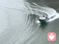 没有“失败的人”只有试错的过程......

其实，再洒脱的人，遇到失败都不会有好心情，这是基本的人性。请你不必怀疑，痛苦是你的自然反应。但是在痛苦的同时，你要问一下自己：“让我痛苦的原因是什么？请你告诉自己：我痛苦，是因为前面要走的路还很长。痛苦，但不是因为你不行。

做一件事失败了很正常，但不否定自己，不责怪自己，不为难自己，不跟自己对抗。毕竟谁的初心不是想把事情做成功呢？所以，没有“失败的人”“无能的人”“没用的人”，只有试错的过程、积累信心的过程、寻找方向的过程、积攒经验的过程。

比如，当我们急着赶路的时候，路上又一直堵车，这时候当然会觉得难以忍受，但这只是一个过程，我们只要听一会儿音乐，看一个搞笑视频，情绪就消退了。

所以下一次如果因为失败而痛苦的时候，可以试一试这种方法。对自己说：“我还要等很久”。重点是“还要”，这个事虽然值得痛苦，但不是我这个人的问题，我只是在经历过程中必要的阵痛，它很难熬，但那是正常的。

失败，但不放弃责任

成长型的人会为自己的选择承担责任，他放弃了一件事，但没有放弃自己这个人。

其实失败才是正常的。就好比初次骑自行车上路会摔跤，这不意味着“这个人”永远都学不会骑自行车，他只是需要多一些练习。

要从失败中汲取经验，这谁都知道。我们理性上说，一次失败，两次失败，下次一定能成功吗？不一定。我们唯一能保证的是，每一次的经验增长，都会给下次带来点变化。

但我们需要的就是变化。看到变化，视野就会开阔一些。你知道吗？当一个人陷入痛苦的时候，最简单的一种缓解痛苦的方式，就是问他：如果按1到10分打分，这一刻的痛苦有几分？不管他打几分，哪怕12分，都会觉得好一些。因为这里最关键的词，就是“这一刻”。这让他的视角分成了两部分：一部分是现在，是确定的痛苦，而另外一部分是将来，将来可能会变得更好，也可能变糟。但既然会变，就不是“命中注定”，不是“诅咒”。而是可以改变和选择的。

作者说，不止“成功”和“解决问题”是成长，“面对失败”“适应痛苦”也是一种成长。我们还要看到另外一种更常态的成长方式，就是：哪怕不成功，人也会越来越成熟和淡定。

就像有些人比较容易有消极的想法和思维，但消极本身也是积极的一部分，人只有能够面对消极，才会有真正的积极。

～《李松蔚.心理学通识》学习笔记～