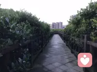 038｜成年“被定義的時(shí)刻”：如何從量變邁向質(zhì)變？

在現(xiàn)實(shí)生活中，當(dāng)我們邁入成年階段，常常會(huì)采用一種看似簡(jiǎn)單甚至有些粗暴，但卻極為有效的方法——人為地劃定一條界限。

比如，法律規(guī)定年滿18歲即為成年人，從此享有相應(yīng)的權(quán)利，也需承擔(dān)相應(yīng)的義務(wù)。然而，一個(gè)剛滿18歲的人，與他17歲零364天時(shí)相比，真的有本質(zhì)上的不同嗎？其實(shí)并沒有。唯一的變化，是法律在這一天為他劃下了一道線：“昨天不算，今天才算。”

這種人為定義的界限，正是人類社會(huì)推動(dòng)個(gè)體成長(zhǎng)的重要方式。接下來，我們探討儀式對(duì)于個(gè)人成長(zhǎng)與轉(zhuǎn)變的影響。

用儀式定義新的穩(wěn)態(tài)

成長(zhǎng)的道路從來不是一帆風(fēng)順的。在這個(gè)過程中，我們可能會(huì)經(jīng)歷自我懷疑，害怕辜負(fù)他人的期待，甚至對(duì)即將到來的新角色感到不安。但請(qǐng)記住，“沒準(zhǔn)備好”往往并不是因?yàn)槟芰Σ蛔悖且驗(yàn)槲覀冋龔囊堰m應(yīng)的舒適區(qū)，試圖邁入一個(gè)尚未習(xí)慣的新狀態(tài)。

這種切換必然伴隨著不適，而成長(zhǎng)，正是在逐步適應(yīng)這些不適的過程中實(shí)現(xiàn)的。但如果我們總是因擔(dān)憂而駐足于熟悉的舊穩(wěn)態(tài)，那么改變就會(huì)變得遙遙無期。

這正是“儀式感存在的意義”。無論是成人禮、畢業(yè)典禮、婚禮，還是其他重要的過渡儀式，儀式越是莊重，我們投入的情感與意義就越深，它所象征的轉(zhuǎn)變也就越具有分量。它標(biāo)志著：在經(jīng)歷了長(zhǎng)期的量變積累后，從這一天起，這個(gè)人、這段關(guān)系、這個(gè)身份，將發(fā)生“質(zhì)”的躍遷。用儀式去標(biāo)記質(zhì)變，然后開始慢慢接受作為成年人轉(zhuǎn)變的事實(shí)。

用儀式推動(dòng)改變

理解了儀式背后的心理與行為機(jī)制，我們就可以有意識(shí)地在生活中運(yùn)用它，從而更有效地推動(dòng)自身或他人的改變。

改變，很少是自然而然、水到渠成的。更多時(shí)候，它停滯不前——我們雖有改變的意愿，卻又因?qū)ξ粗目謶郑桓逸p易脫離已有的穩(wěn)定狀態(tài)。此時(shí)，儀式就成為了一劑強(qiáng)有力的催化劑。

無論是歡迎新成員的儀式、慶祝個(gè)人成長(zhǎng)的儀式、正式任職的儀式，還是修復(fù)關(guān)系的和解儀式，都可以成為生活中的重要節(jié)點(diǎn)。通過這種“鄭重其事的形式感”，我們?yōu)楸舜恕樽约簞澇鲆坏狼逦男陆缦蕖?
一旦我們?cè)谡J(rèn)知層面上做出了“這是新的開始”的區(qū)分，實(shí)質(zhì)性的改變便會(huì)自然而然地發(fā)生。

到這里，如果只記住一句話，那就是：儀式，是量變通向質(zhì)變的橋梁。

不要害怕改變，也不要畏懼新的穩(wěn)態(tài)。給自己一個(gè)儀式，給改變一個(gè)契機(jī)，讓質(zhì)變，真正發(fā)生。

～～心理學(xué)筆記～～配圖