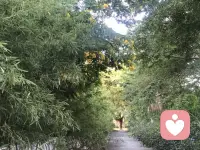 評判與不接納讓關系受傷

日常生活中，我們會聽到這樣的抱怨：
妻子對丈夫說：“你總是不理事，什么都不管，你真自私！”
丈夫對妻子說：“你什么都不用干，就帶個孩子還帶不好。”
父母對孩子說：“你怎么這么懶？只知道吃和玩，也不懂幫忙！”

這些脫口而出的話，并非在陳述事實，而是帶著情緒的評判。它們像利劍，只會刺傷關系，讓聽者感到被否定、被攻擊。

為什么我們總習慣評判？因為評判是簡單、粗暴的自我防衛。它將問題的責任完全推給對方，潛臺詞是：“都是你的錯，需要改變的是你，不是我，而我是對的、是好的。”

通過指責對方是“壞人”，來維持自己“好人”的正確感。當這種黑白分明的思維充斥家庭，關系中就只剩下對錯之爭，而看不見情感，也遮蔽了真相。

評判的背后，藏著未被看見的渴望 。那個被指責“自私”的丈夫，或許渴望自己的付出被看見；那個被埋怨“帶不好孩子”的妻子，或許希望自己的辛勞被認可；那個被貼上“懶”標簽的孩子，或許心想：“我幫忙時你總挑刺，不如不做。”

這些評判之下，往往藏著一個渴望被理解、被接納的脆弱內心。

~~李雪—《走出劇情》學習筆記~~配圖