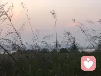 情緒減負指南：從內(nèi)耗到自洽的5個妙招

1.?停止“猜心游戲”：直接表達，是對彼此的尊重

不必期待他人精準捕捉你的情緒，也無需強行解讀他人的沉默——猜中情緒本就是小概率事件。與其讓“他應該懂我”的執(zhí)念心生委屈，不如清晰說出需求與感受：“我現(xiàn)在需要安靜”“這件事讓我有些壓力”。直接溝通，既減少誤解，也讓關(guān)系更松弛。??

?2.?課題分離：他人的情緒，是他人的課題

面對他人的情緒波動，先在心里劃一道線：“這是他的課題，我可以選擇傾聽或安慰，但無需為他的情緒負責。”不必因?qū)Ψ降慕箲]、憤怒而自我責怪，更不必用“我必須讓他開心”綁架自己。健康的關(guān)心是“我愿意陪你”，而非“我必須為你的情緒兜底”。??

3.?拒絕不是傷害，是守護關(guān)系的底線
??
好的關(guān)系從不是單方面的犧牲換來的。當對方以“為你好”為名強求你妥協(xié)（比如過度占用時間、忽視你的意愿或選擇），請正視內(nèi)心“我不愿意”的真實感受，坦然說“不”。真正的聯(lián)結(jié)，經(jīng)得起“我有邊界”的坦誠，輸不起“我勉強自己”的內(nèi)耗。??

4.?用“我”開頭說話：鎖定感受，守住邊界

表達想法、需求時，試著多使用“我感到…”“我需要…”“我認為…”的句式。這不僅能避免指責性的“你”字句引發(fā)的對抗，更能幫你聚焦自身感受，強化“我的情緒由我定義”的主體意識——邊界感的本質(zhì)，是先看見并尊重自己的需求。??

?5.?邊界是軟尺，不是硬墻

情緒邊界從不是冷漠的盾牌，而是動態(tài)調(diào)節(jié)的內(nèi)心標尺：它能幫我們在疲憊時勇敢說“我需要空間”，也能在重要時刻放下防備深度聯(lián)結(jié)。真正的穩(wěn)定，是允許自己“有時靠近，有時保持距離”，在靈活中維持內(nèi)心的平衡與自由。??

《如何做一個情緒穩(wěn)定的成年人》———學習筆記配圖